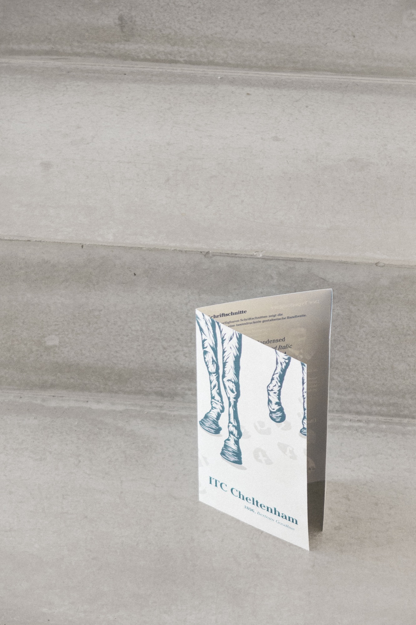 Vorstellung einer Schrift